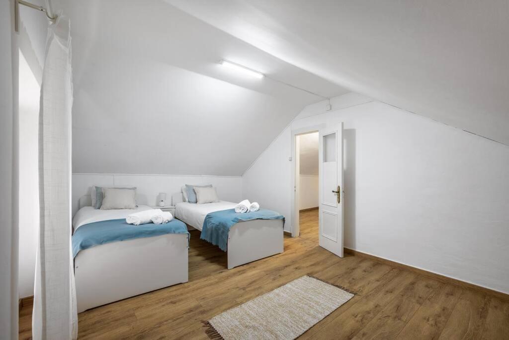 Apartamento Tipico - Vila Mafra 나자레 외부 사진
